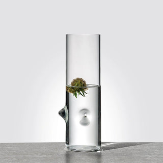 Pablo • Vase/jug in borosilicate glass