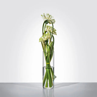 Pablo • Vase/jug in borosilicate glass