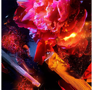 Parfum De La Nuit - Roja Parfums