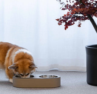 Pet Bowl • Pinetti