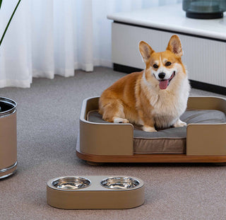 Pet Bed • Pinetti