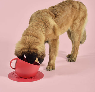 Set Cup Red| United Pets