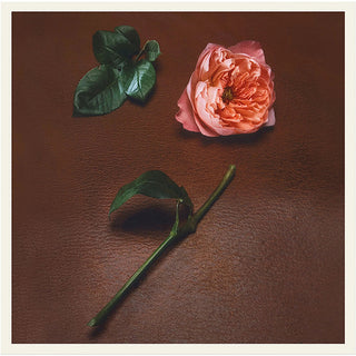 Rose Mosaïque