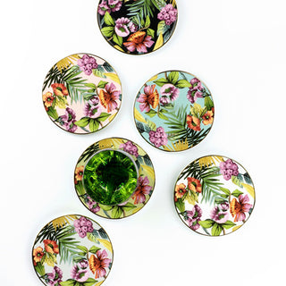  Coasters Jungle Collection
