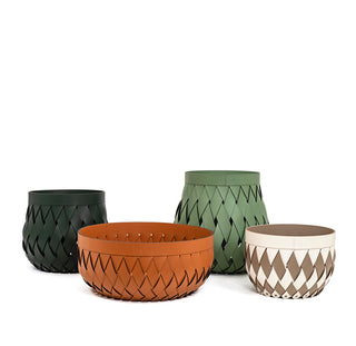 
Canaria Collection