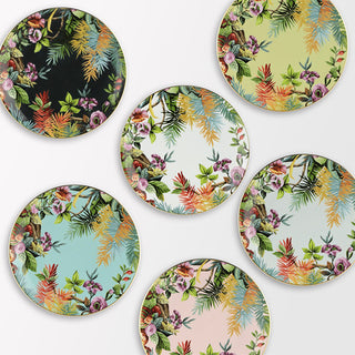 Flat Plate • Jungle 