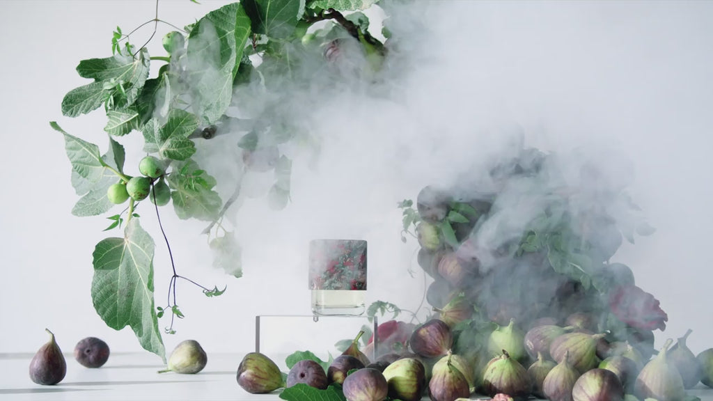 LBTY 2024 (16x9) (Best Bits) (Graded to match images).mp4