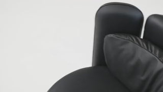 ds-800_introduction.mp4 (240p).mp4