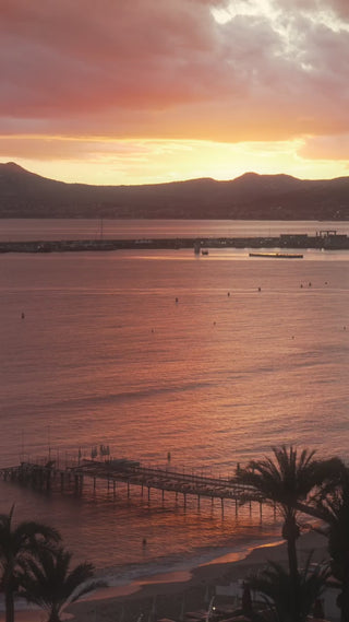 IMG_7983 (1) (1).MOV