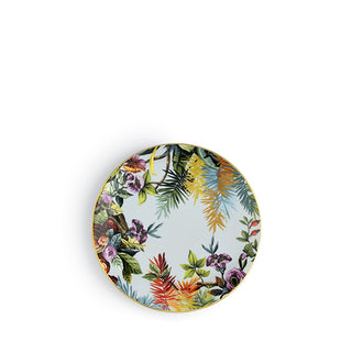 Flat Plate • Jungle Sky