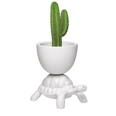Turtle Carry Planter and Champagne Cooler - Danilo Cascella Premium Store