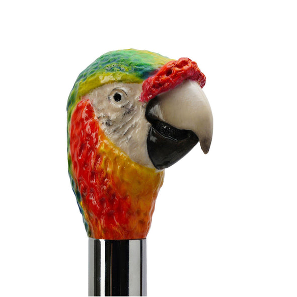 Parrot Shoehorn - Danilo Cascella Premium Store