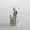 Dogsai, Matteo Cibic - Danilo Cascella Premium Store