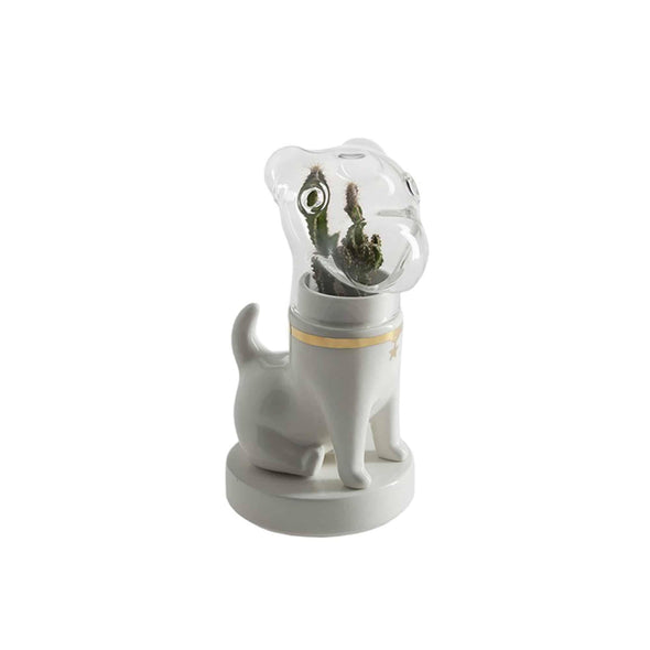 Dogsai, Matteo Cibic - Danilo Cascella Premium Store