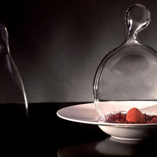 Echoes, design glass cloche - Danilo Cascella Premium Store