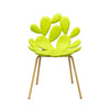 Filicudi Chair, Set of 2 pieces - Danilo Cascella Premium Store