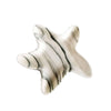 Sea Star - Danilo Cascella Premium Store