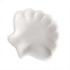 Shell - Danilo Cascella Premium Store