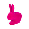Rabbit Chair Velvet Finish - Danilo Cascella Premium Store