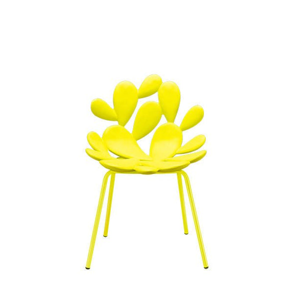 Filicudi Chair Colored - Set of 2 pieces - Danilo Cascella Premium Store