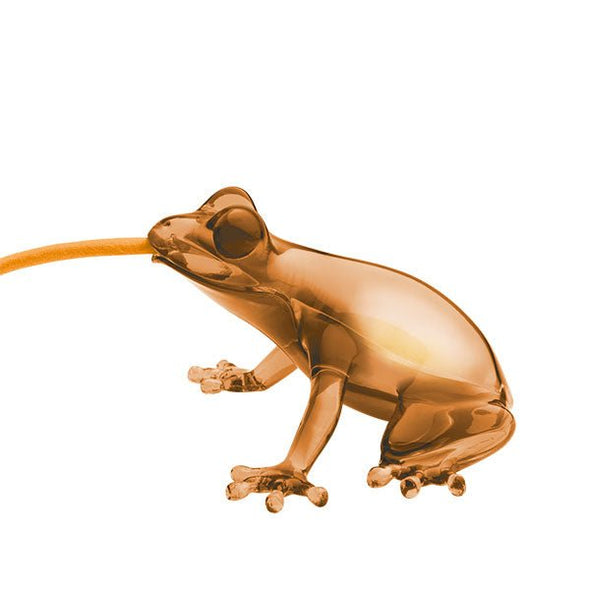 Hungry Frog Lamp - Danilo Cascella Premium Store