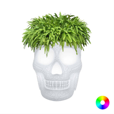 Mexico Planter and Champagne Cooler Lamp with Rechargeable Led - Danilo Cascella Premium Store