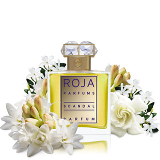 Scandal Parfum Pour Femme|Roja - Danilo Cascella Premium Store